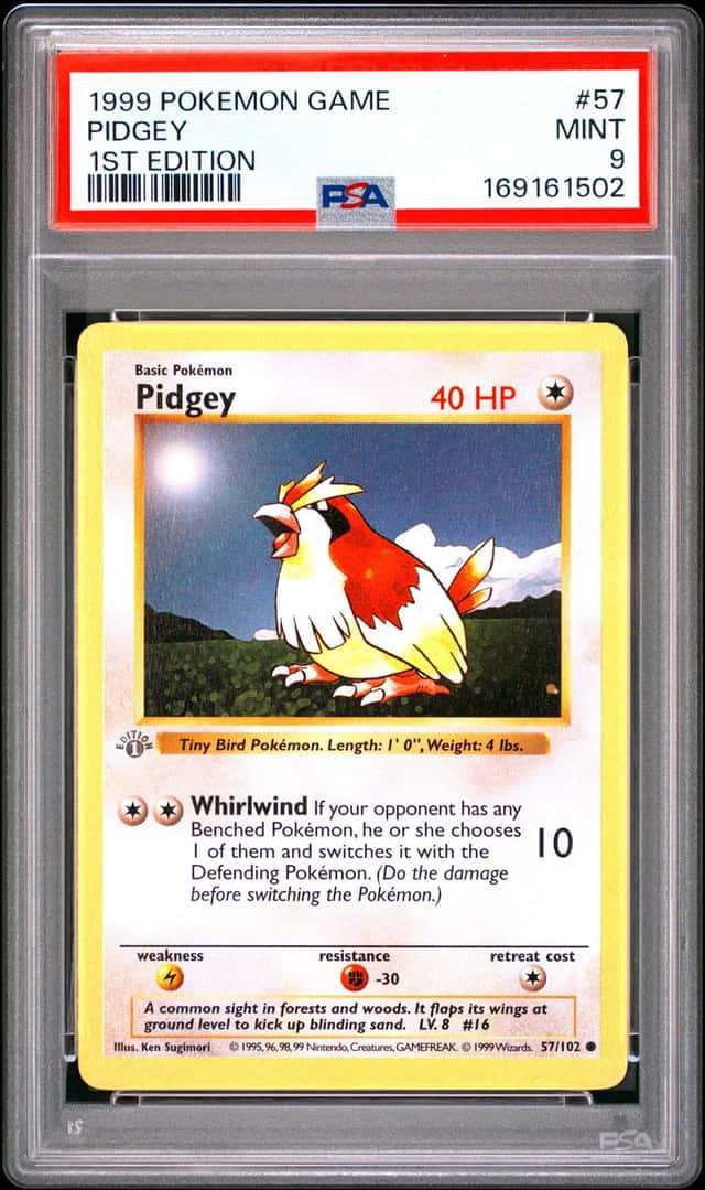 Pidgey
