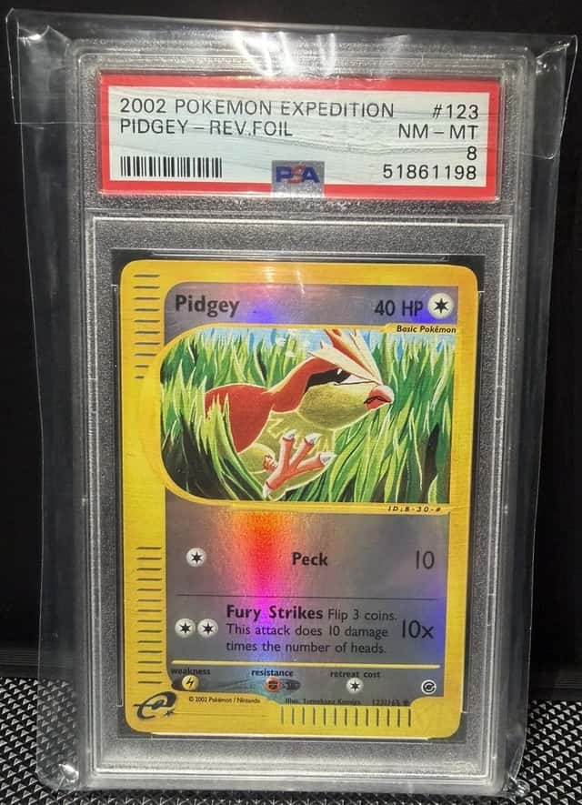 Pidgey