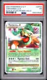 Torterra Lv.x