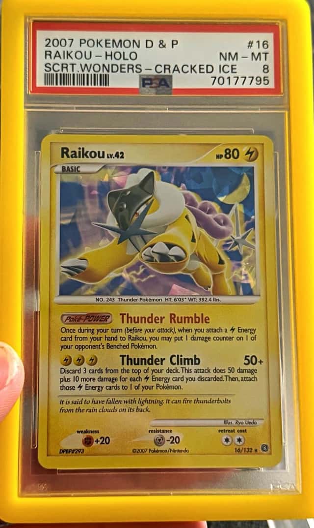 Raikou