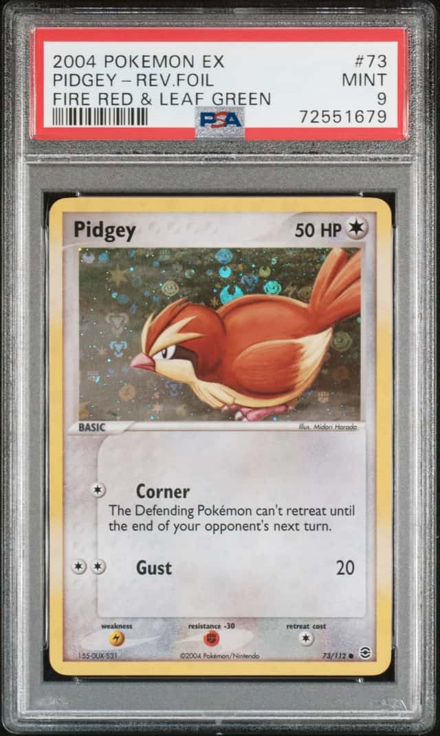 Pidgey