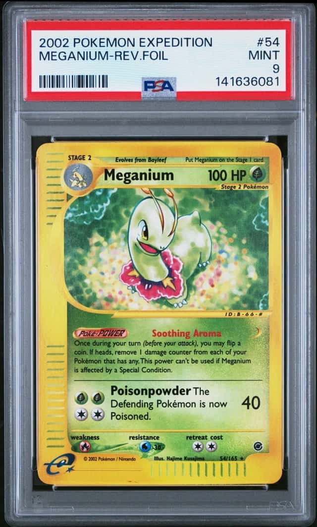Meganium