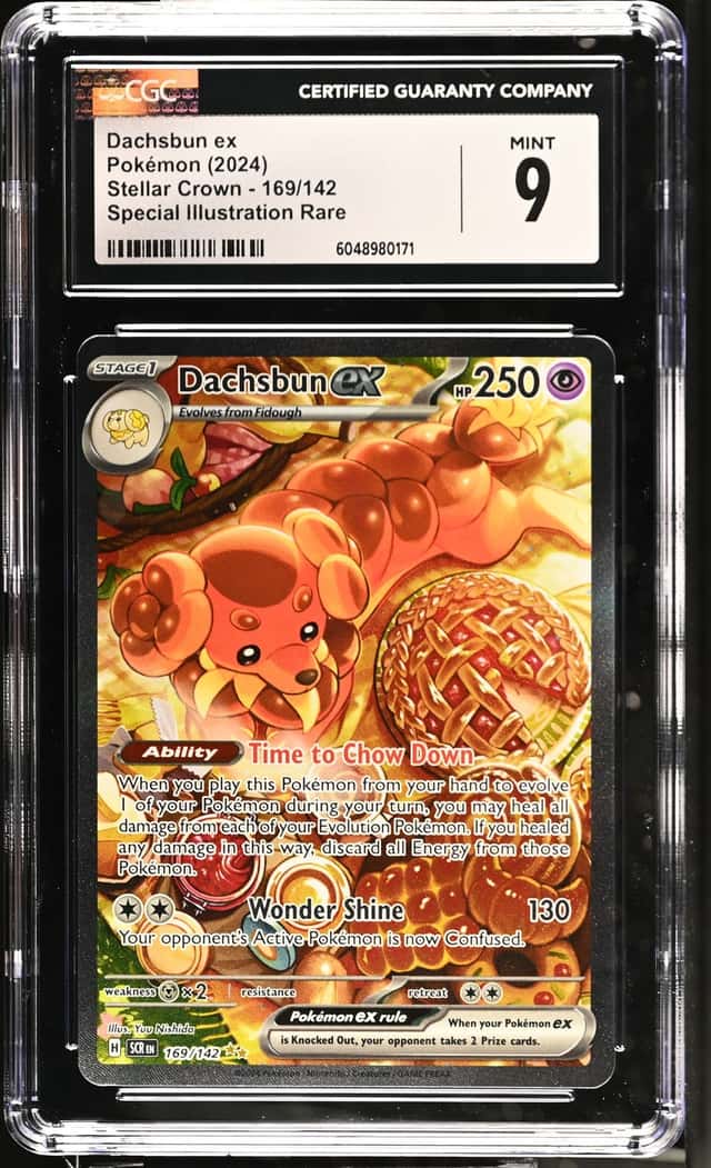 DACHSBUN ex
