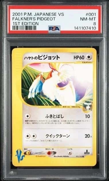 Falkner's Pidgeot