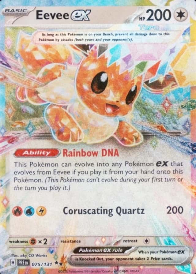 Holo