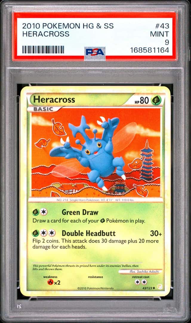 Heracross