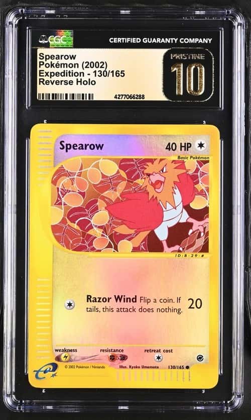 Spearow