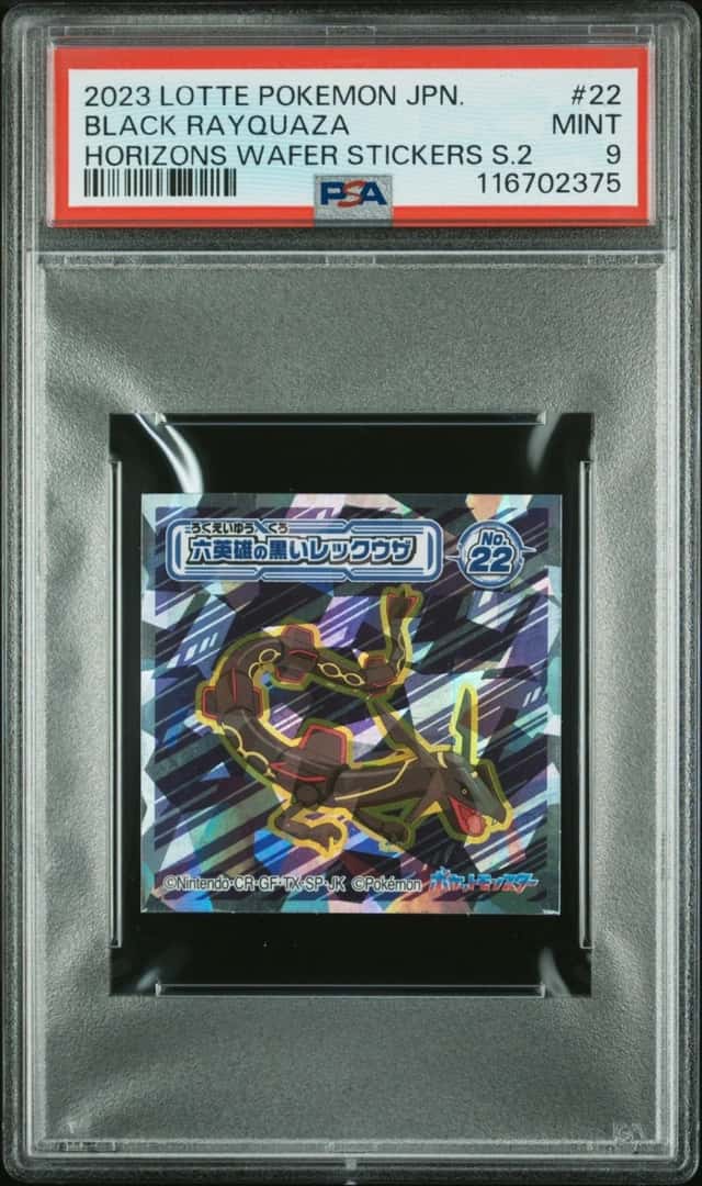 Black Rayquaza