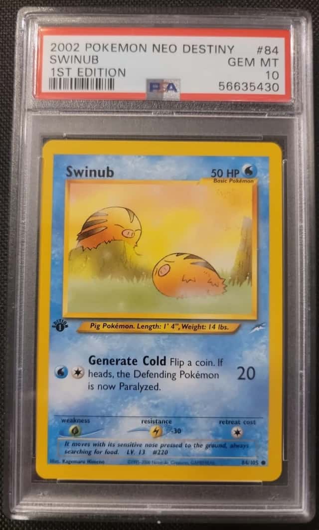 Swinub
