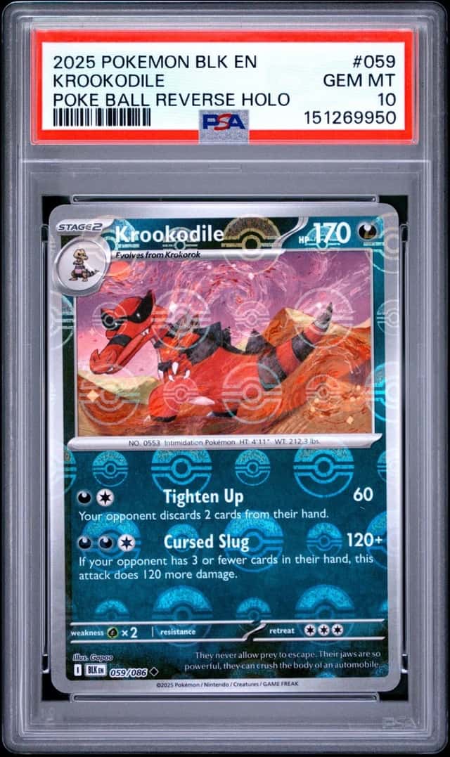 Krookodile