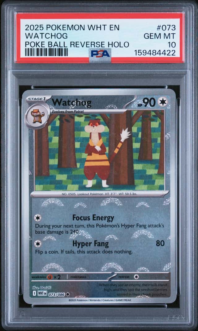 Watchog