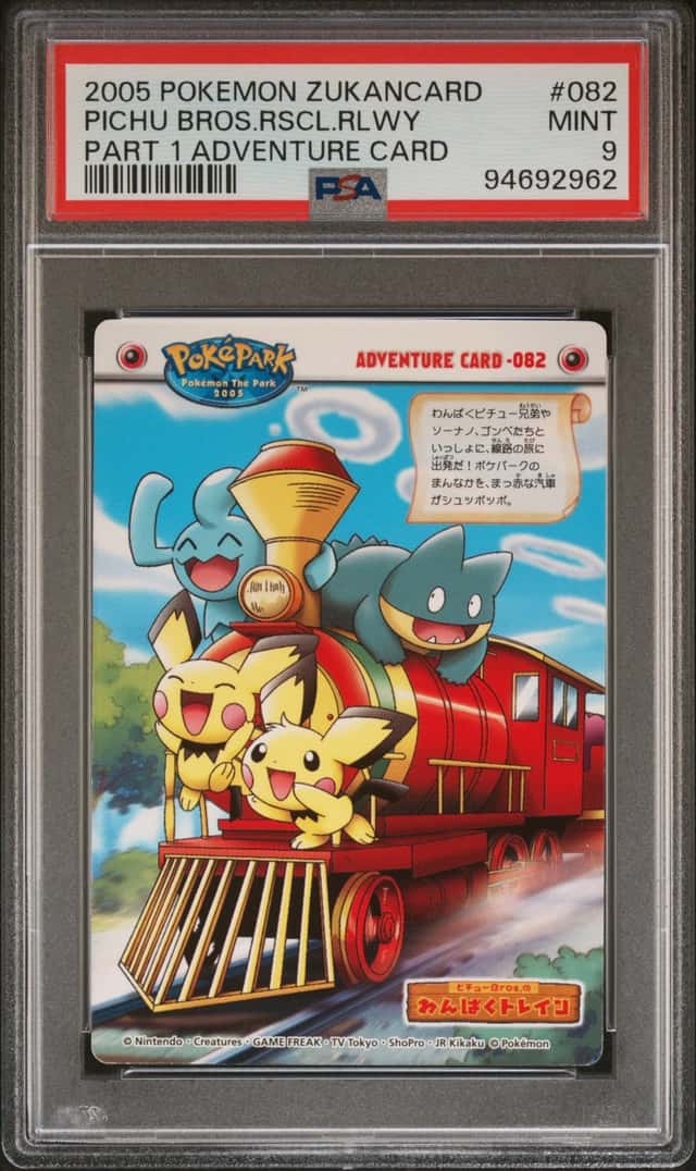Pichu Bros. Rascal Railway