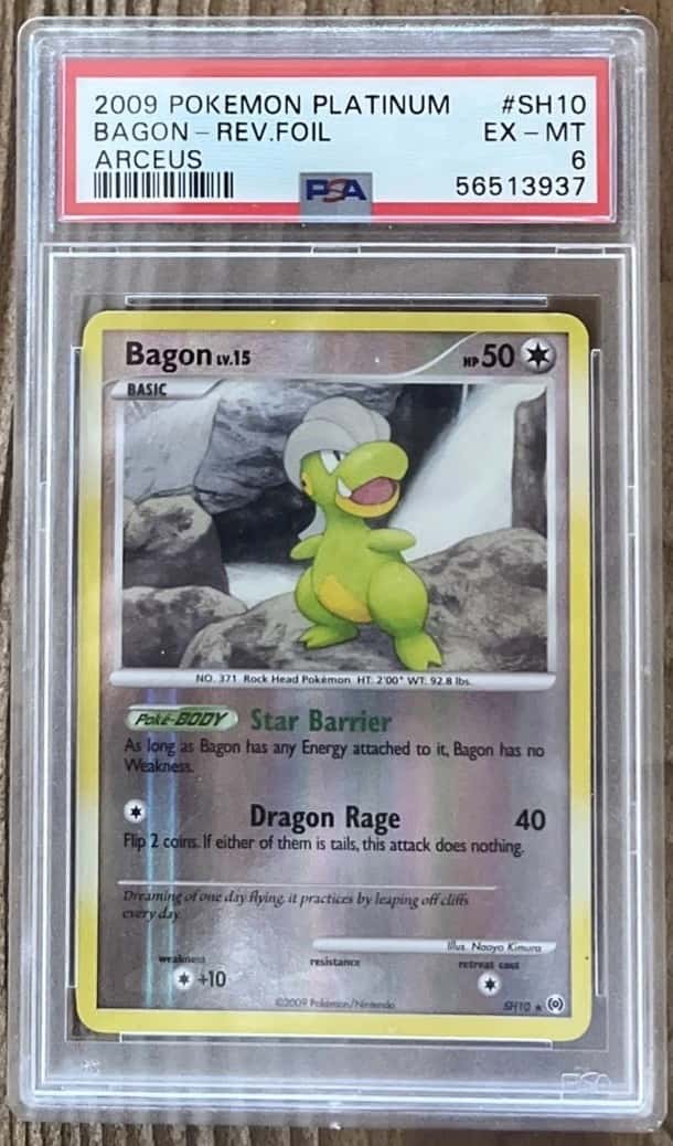 Bagon