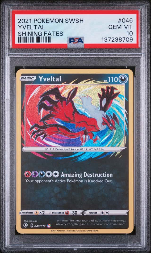 Yveltal