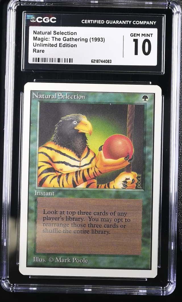 Natural Selection