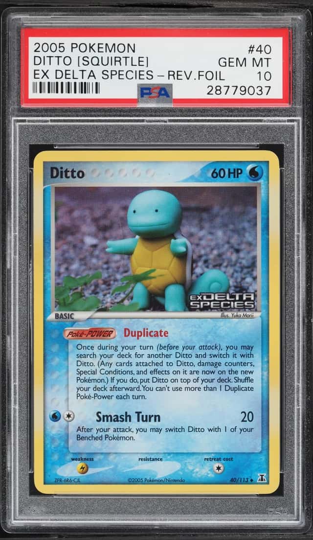 Ditto [Squirtle]