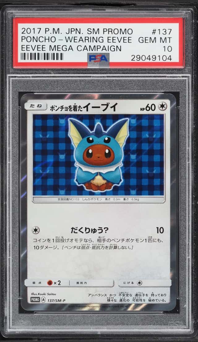Poncho-wearing Eevee