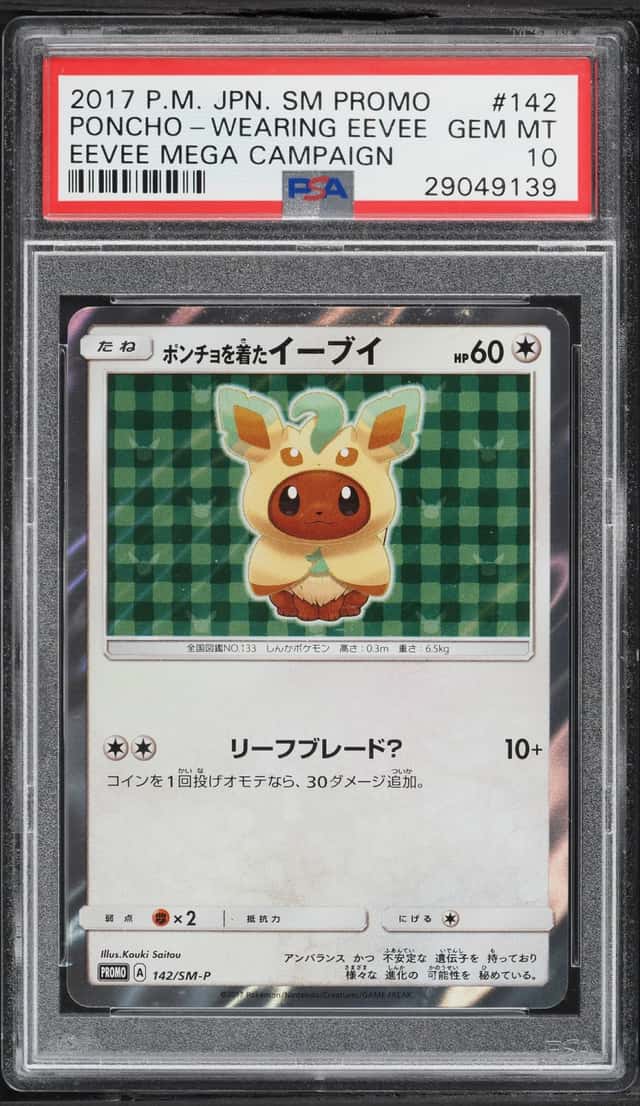 Poncho-Wearing Eevee
