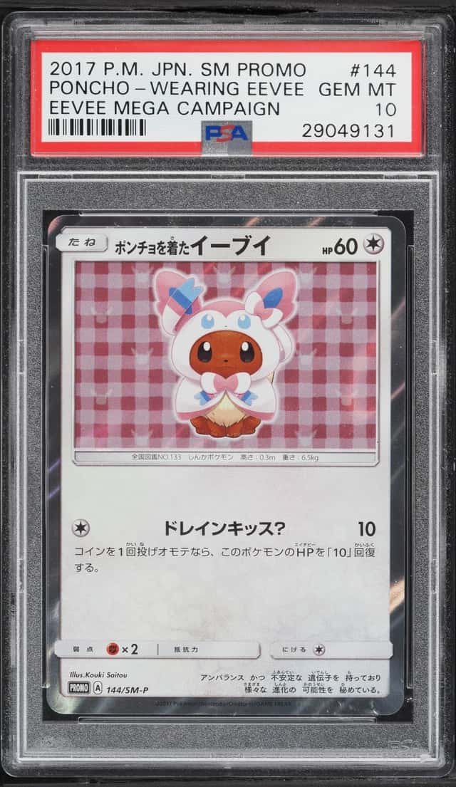 Poncho-Wearing Eevee