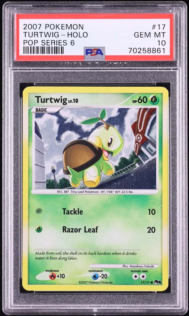 Turtwig