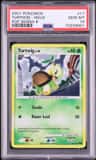 Turtwig