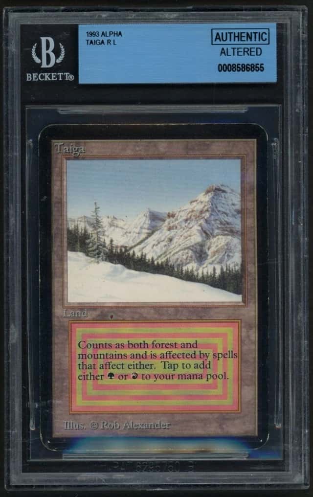 Taiga R :L: