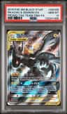 Pikachu & Zekrom Gx