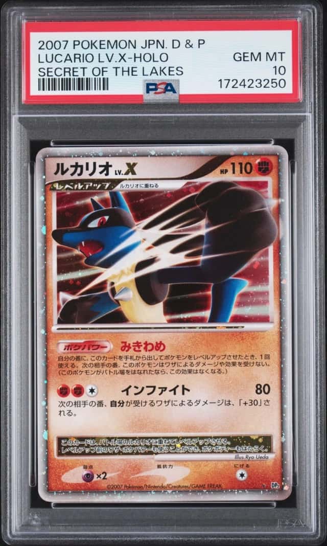 Lucario Lv X
