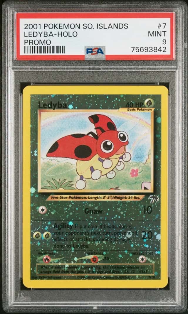 Ledyba