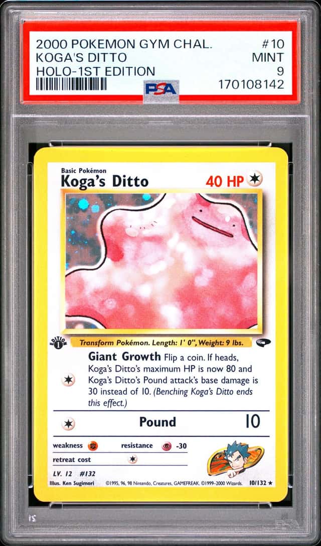 Koga's Ditto