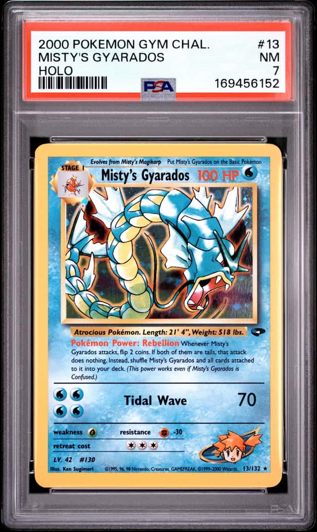 Misty's Gyarados