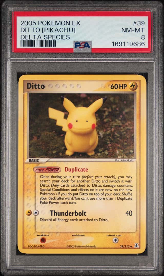 Ditto