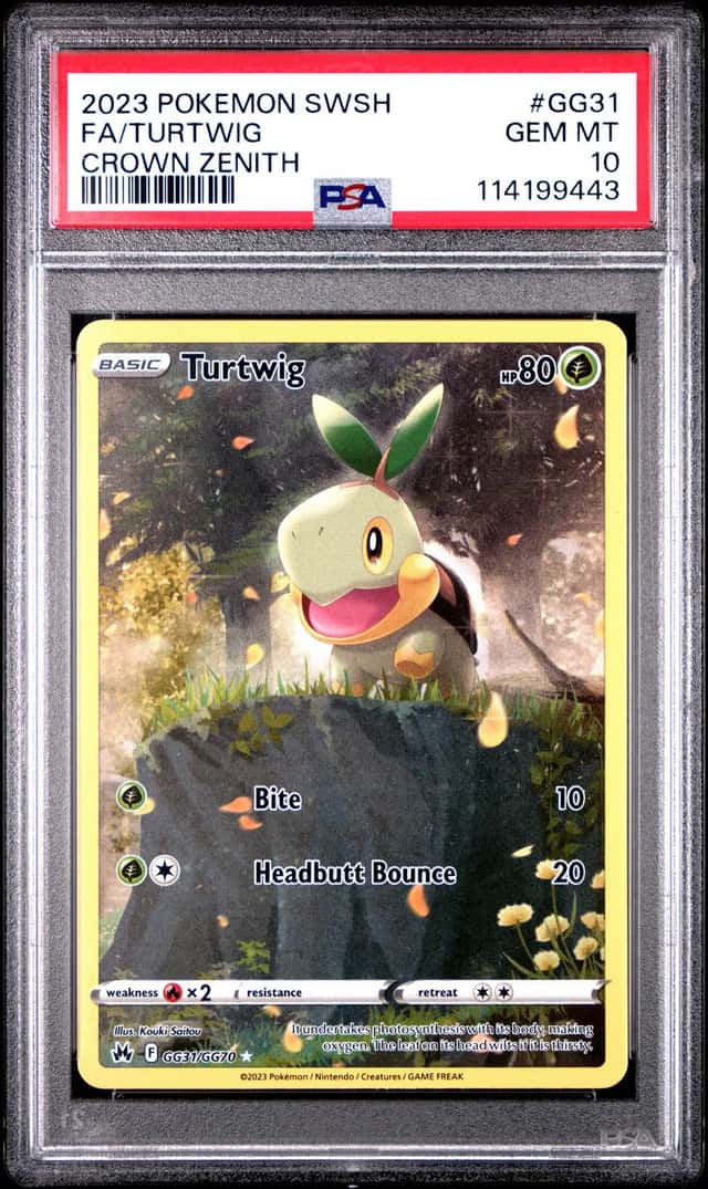 Turtwig