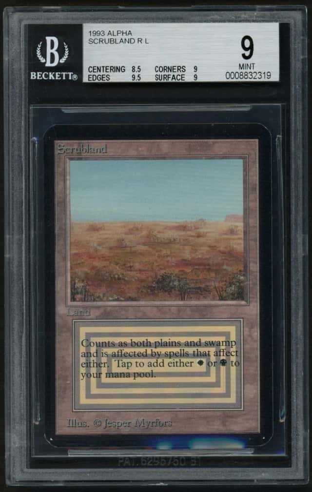 Scrubland R :L: