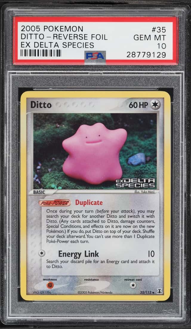 Ditto