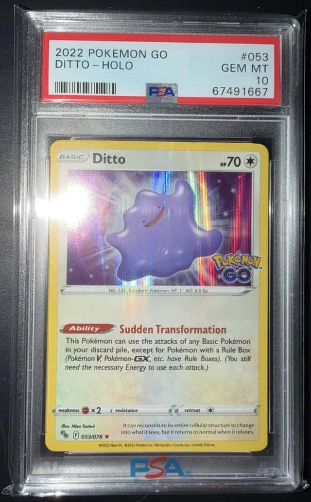 Ditto