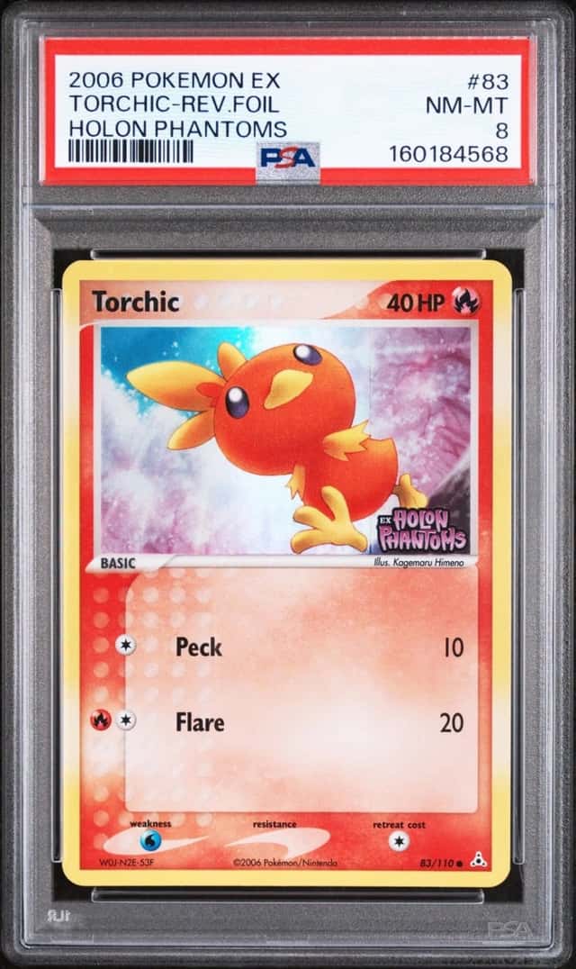 Torchic