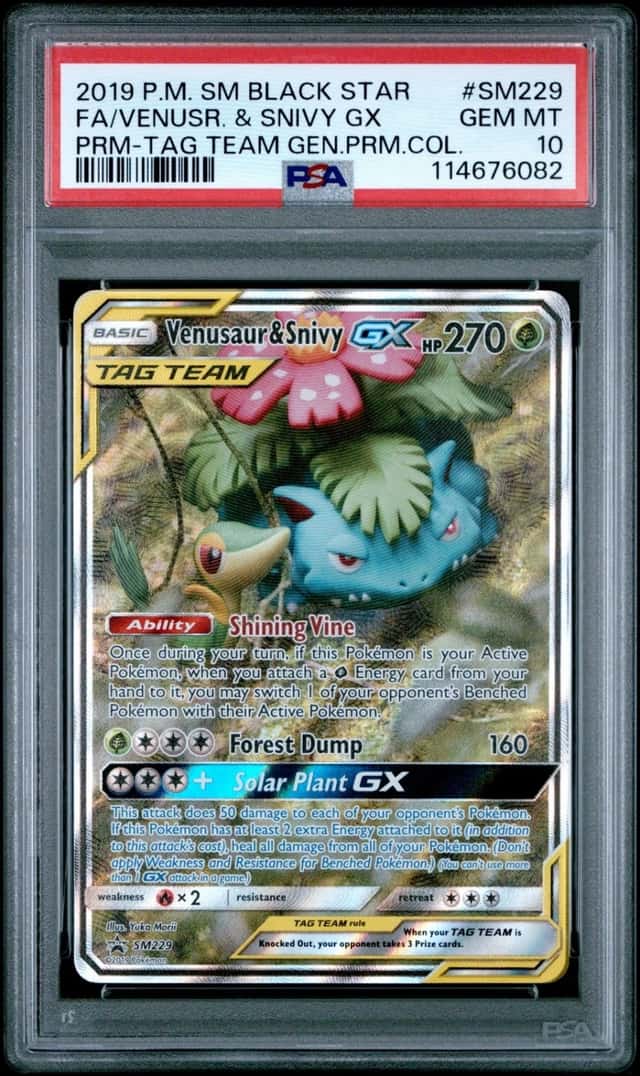 Venusaur & Snivy GX