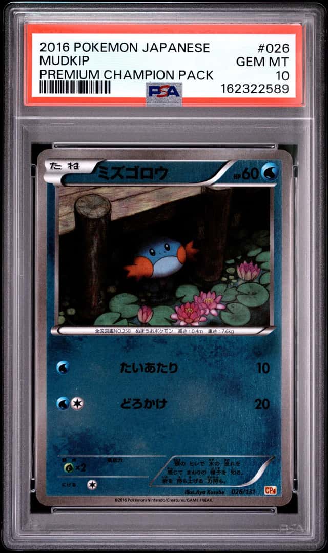 Mudkip