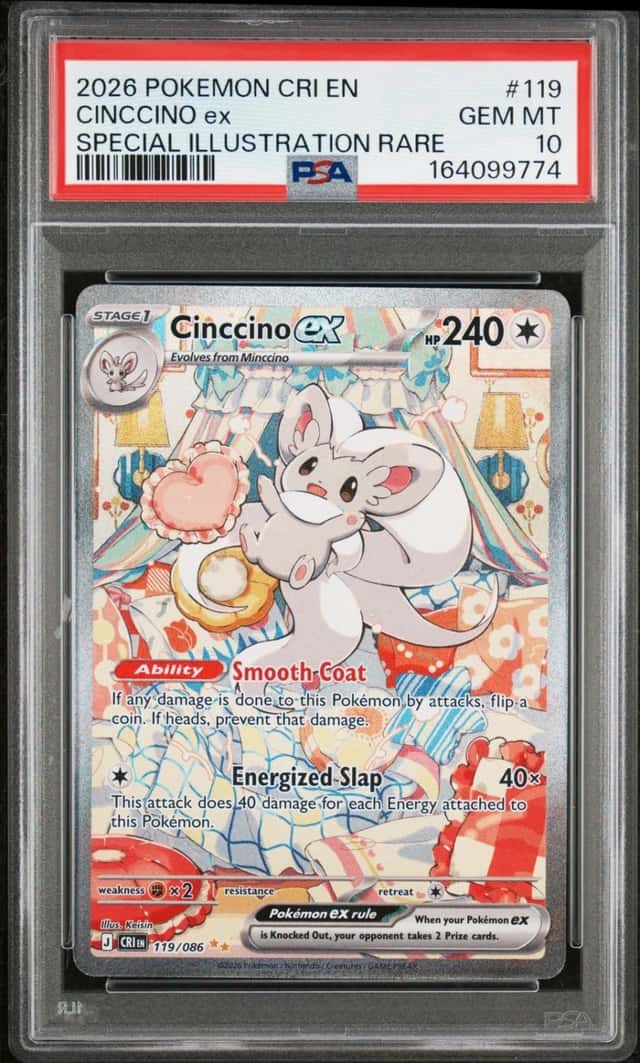 CINCCINO ex