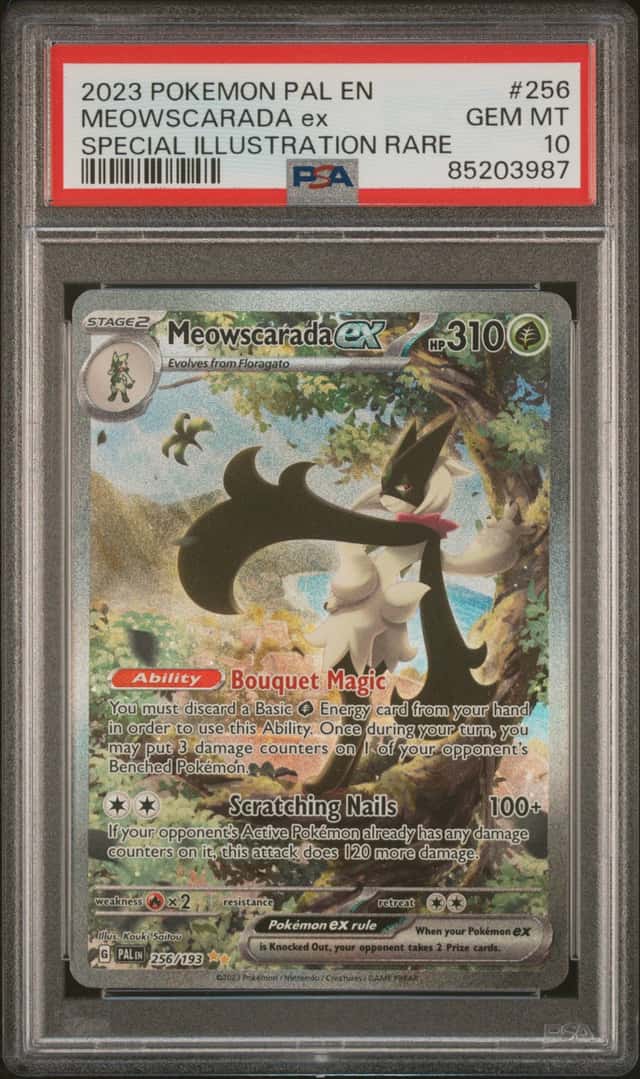 MEOWSCARADA ex