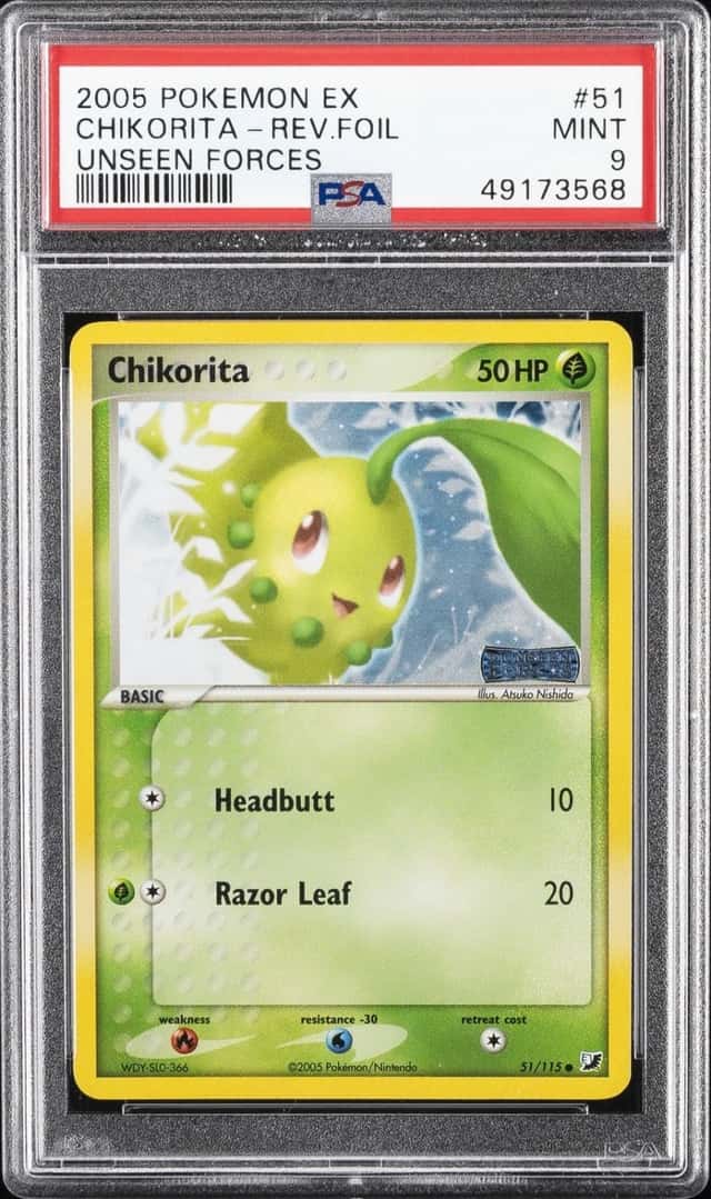 Chikorita
