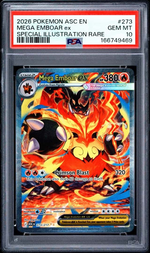 MEGA EMBOAR ex
