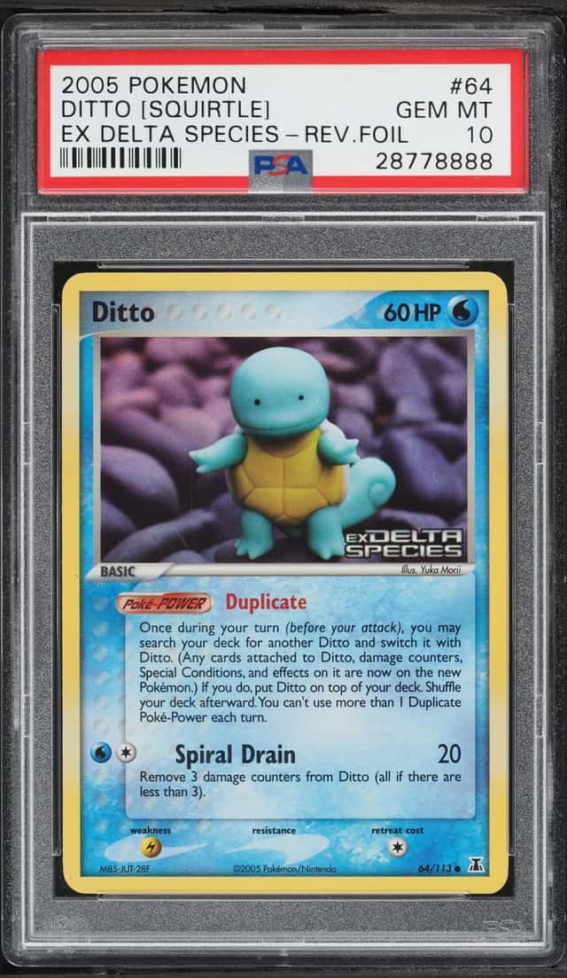 Ditto [Squirtle]