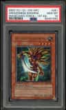 Amazoness Swords