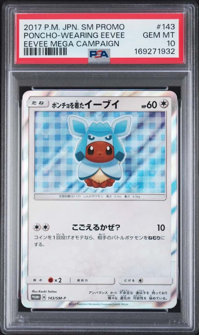 Poncho-Wearing Eevee