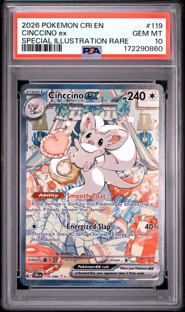 CINCCINO ex