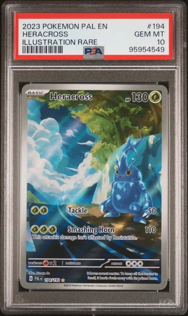 Heracross