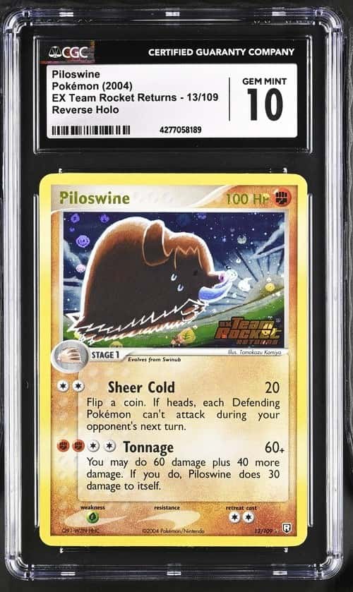 Piloswine