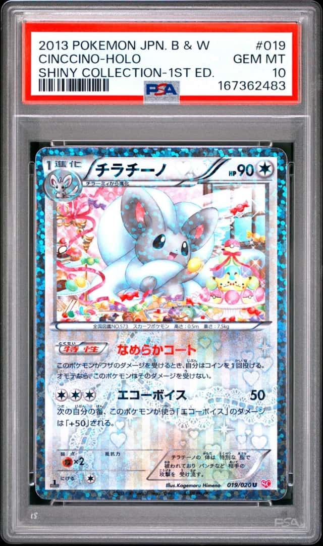 Cinccino